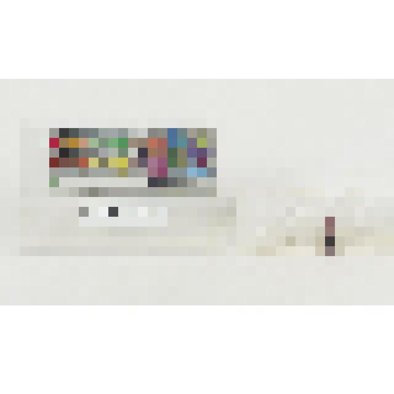 Проксимальная часть пластинки