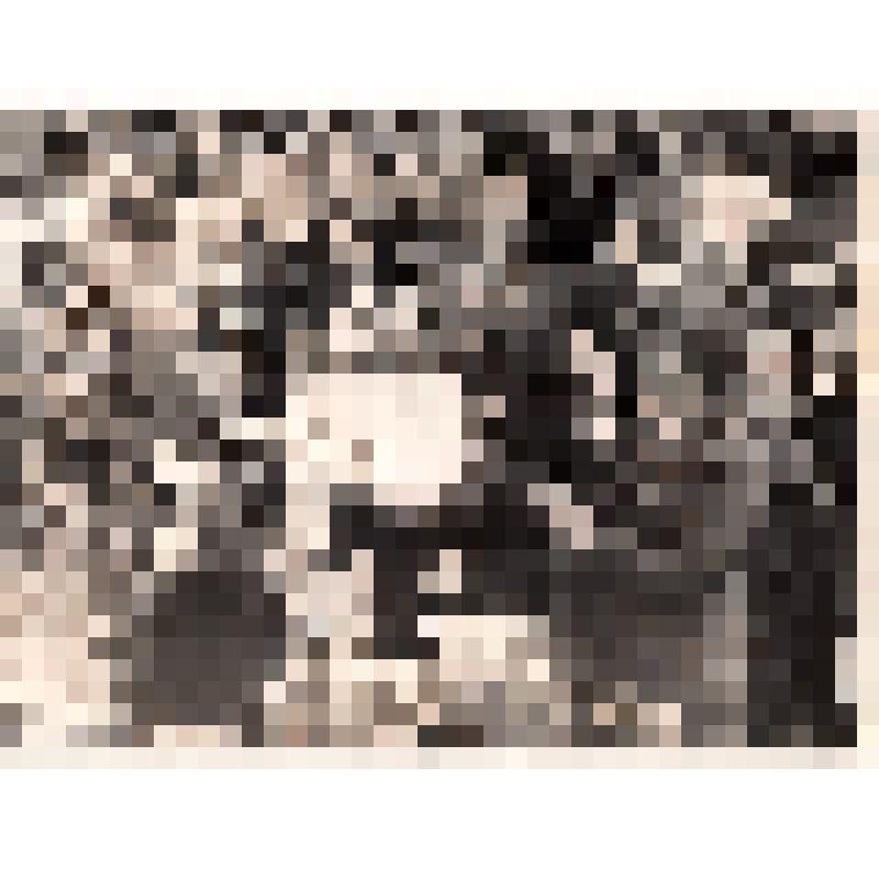 Фотография чёрно-белая. Сюжетная. Чествование победителей социалистического соревнования. 1983 г