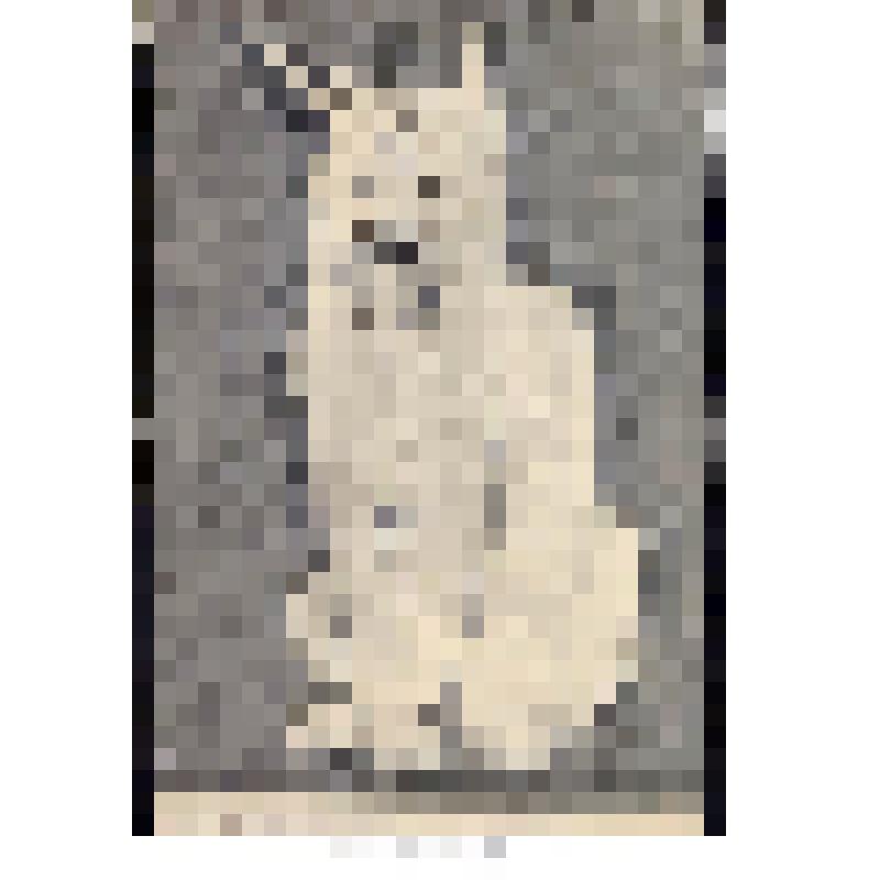 Набросок рыси. Рисунок