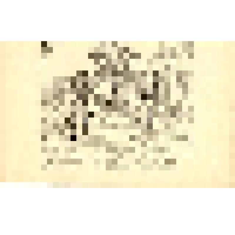 Лубок. Без названия. Первые строчки песни "На закате светла месяца..."