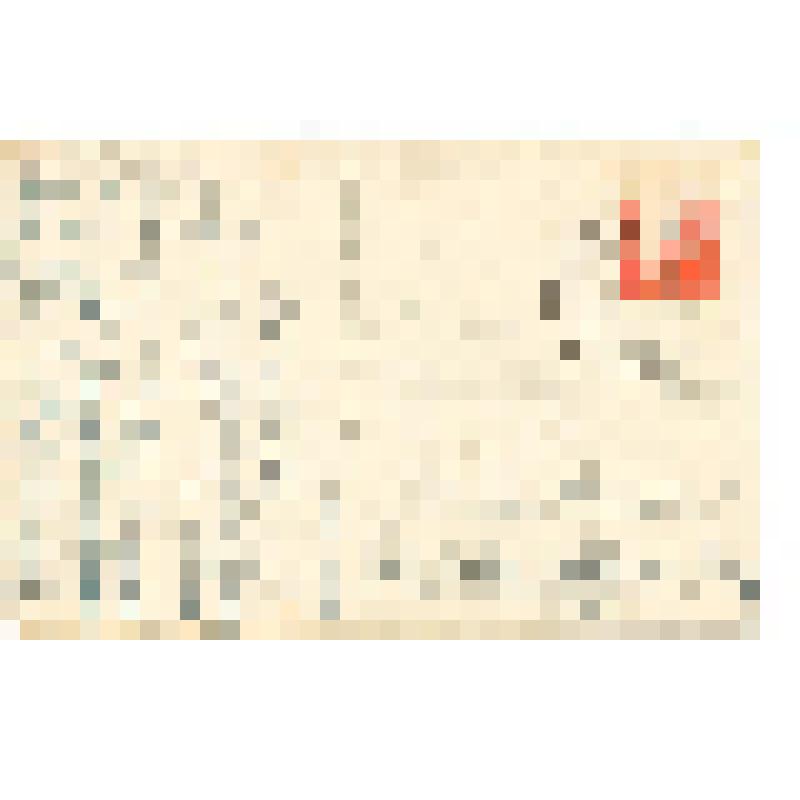 Почтовая открытка "Gruβ aus Ludwigsort O.-P,"