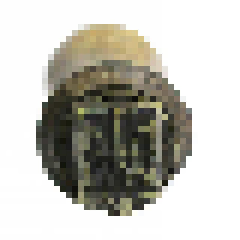 Надпечатка трезубца. (С аннуляцией)