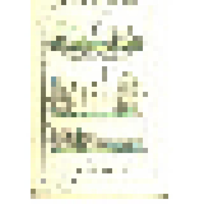 Кутайская губерния (Закавказский край)