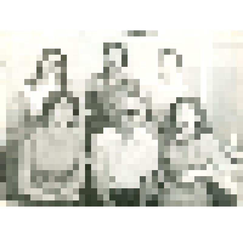 Фото. Злобин П.К. с сотрудницами отдела генплана  СФ«Башгипронефтехим», 1978