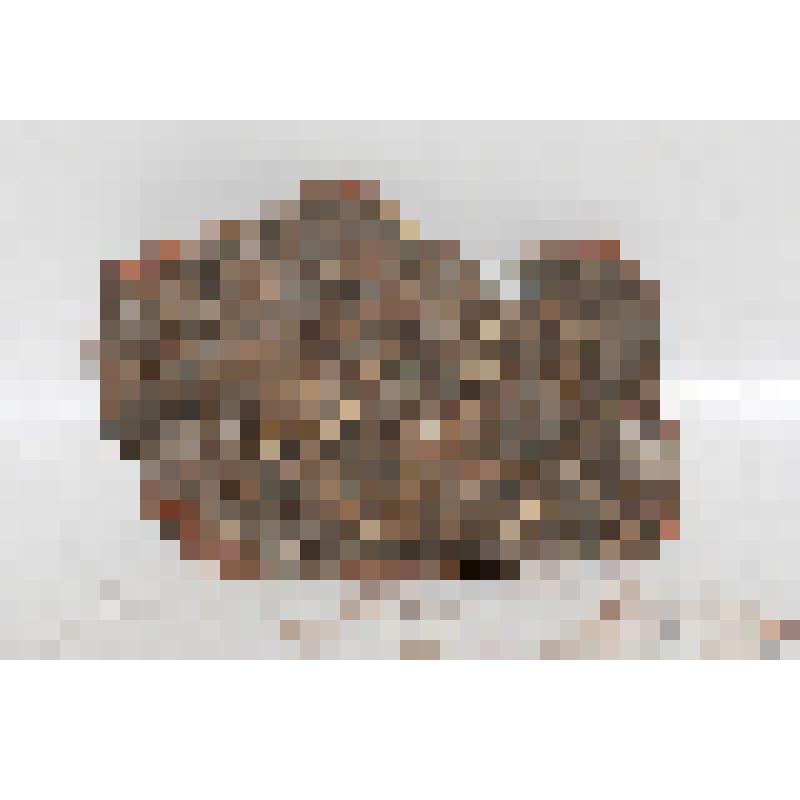 Изразец (фрагмент) угловой рельефный полихромный геральдический