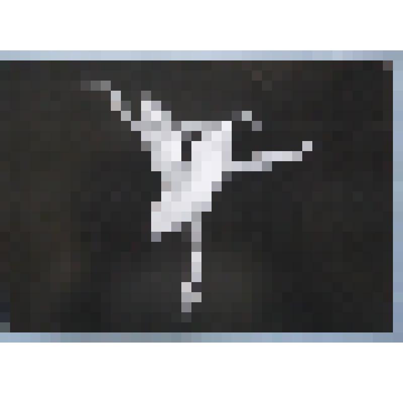 Открытка коллекционная из серии «Звезды Мариинского балета». "Юлия Махалина.Одетта". РФ., Конец 1990-х начало 2000-х годов