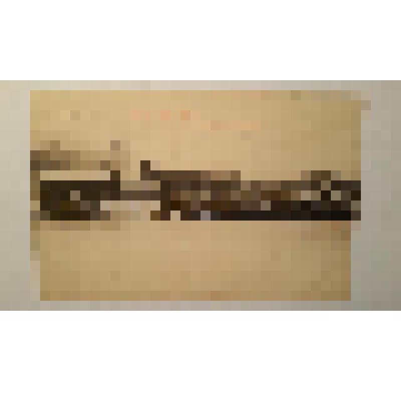 Украина, г. Киев. Вид со стороны Труханова острова. Чижов Матвей Афанасьевич. Панорама. Фототипия Шерер, Набгольц и Ко, Москва