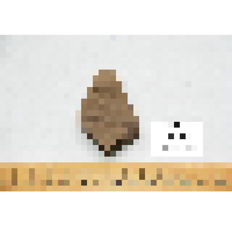 Стенка горшка (фрагмент развала)