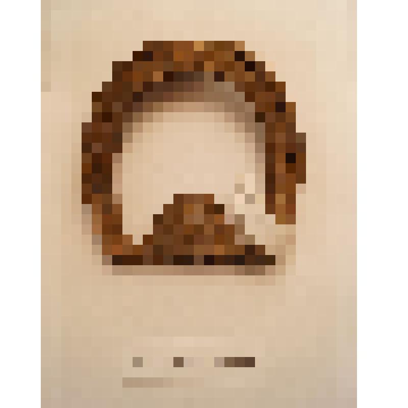 Подкова круглая передняя