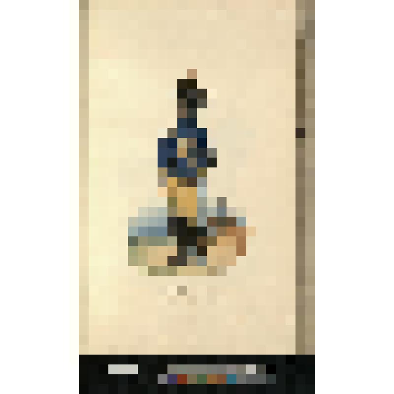 Рядовой Карельского драгунского полка шведских войск