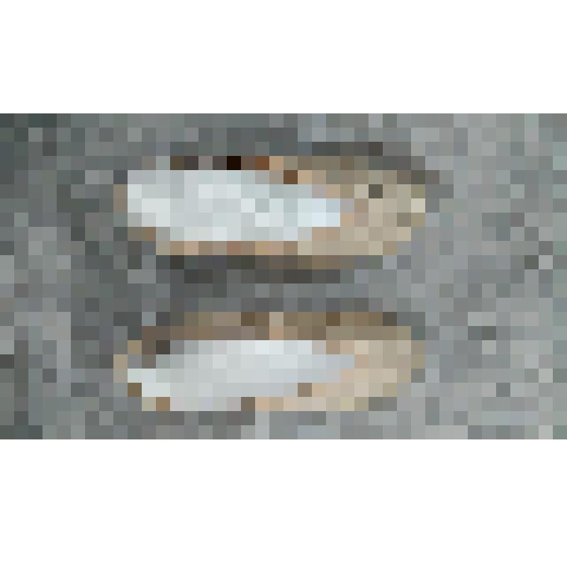 Пуанты  Улановой.Г.С. балетные туфли с автографом