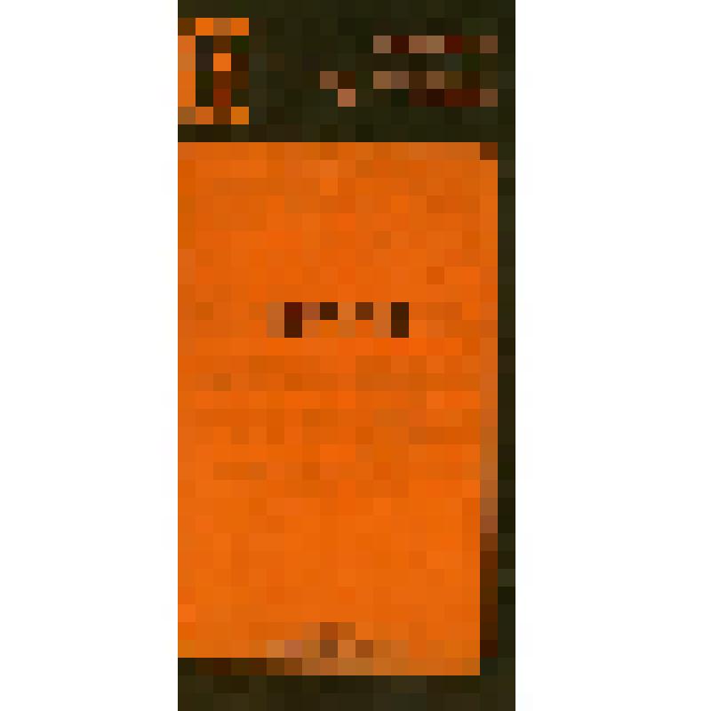 Программа спектакля Государственного русского драматического театра им. В. Г. Короленко. Буря