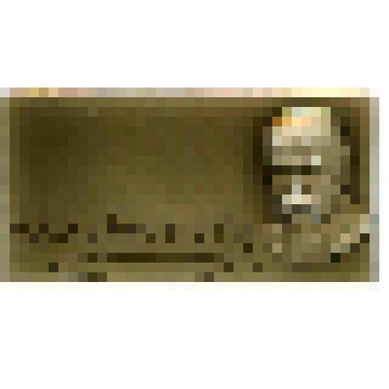 Значок. Шевченко Т.Г. на булавке. СССР