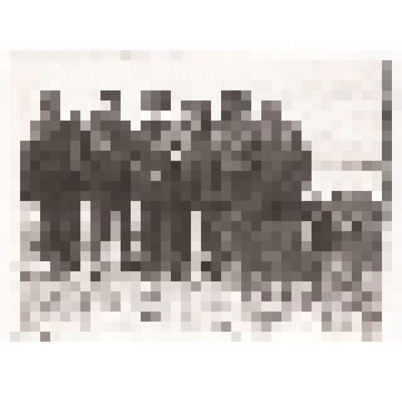 Фотография. Участники полярной экспедиции газеты "Советская Россия"