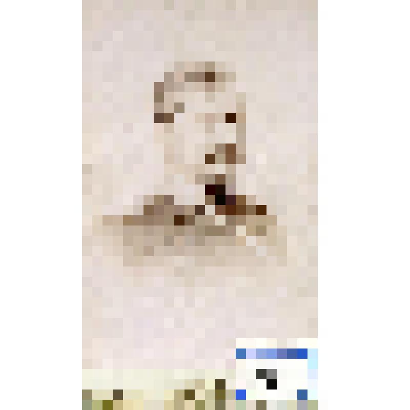 Фотография черно-белая. Рашпиль, штабс-капитан