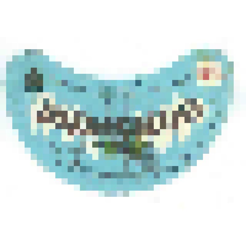 Кольеретка к пиву «Рижское» производства Марксовского пивзавода Саратовской области, из коллекции кольереток - этикеток горловых к бутылкам для пива