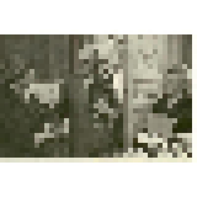 Фотография. Хохлов С.С. поздравляет Артисевич В.А., заведующую научной библиотекой СГУ, с юбилеем, из коллекции материалов Хохлова Сергея Спиридоновича (1910-1974), саратовского ученого-генетика, доктора биологических наук, профессора, зав.кафедрой генети