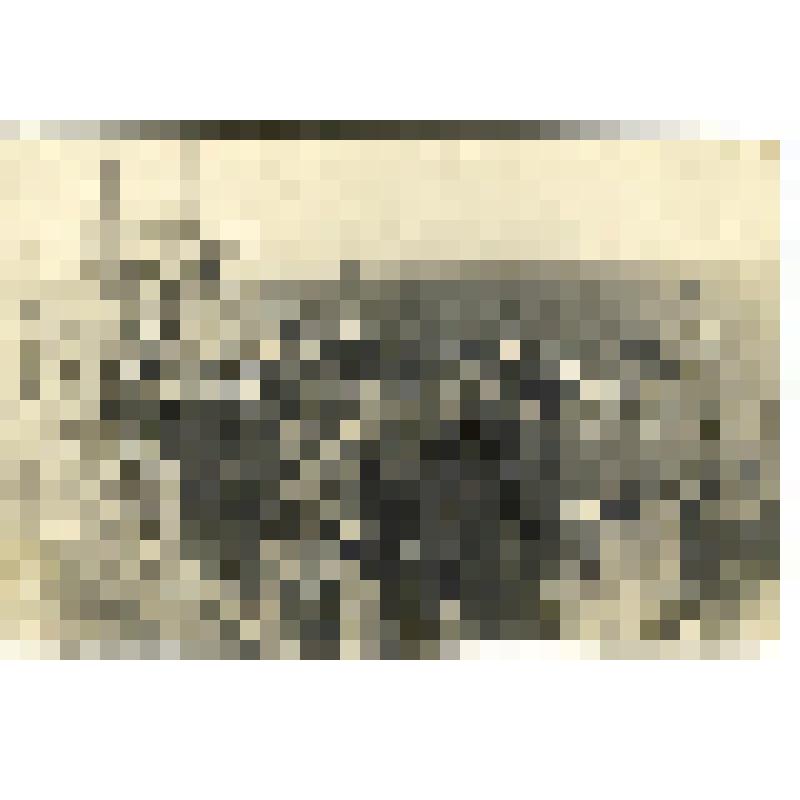 Фотография. Группа моряков-гидрографов на палубе судна