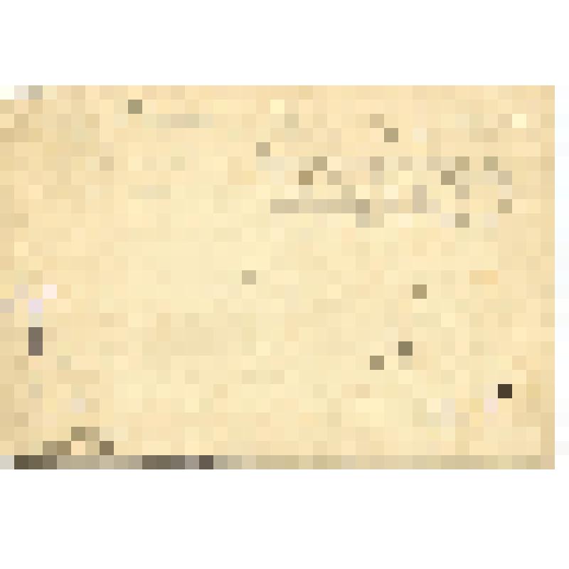 Фотография. Группа моряков-гидрографов на палубе судна