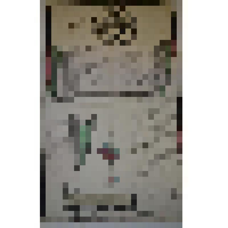 План геометрический специальный Сольвычегодского уезда Окологородной волости деревни Вороницыной