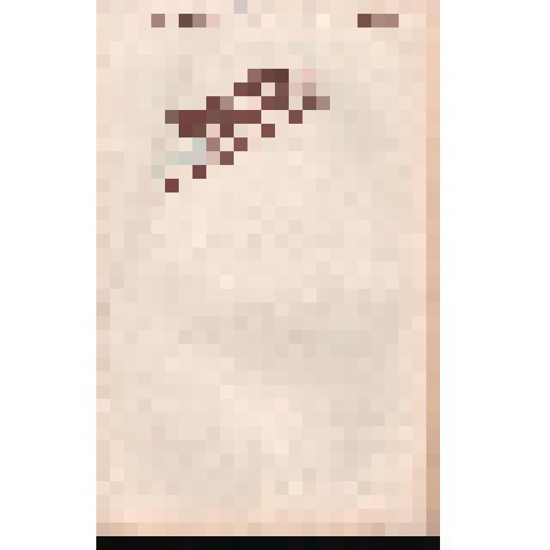 Журнал. Дружба народов