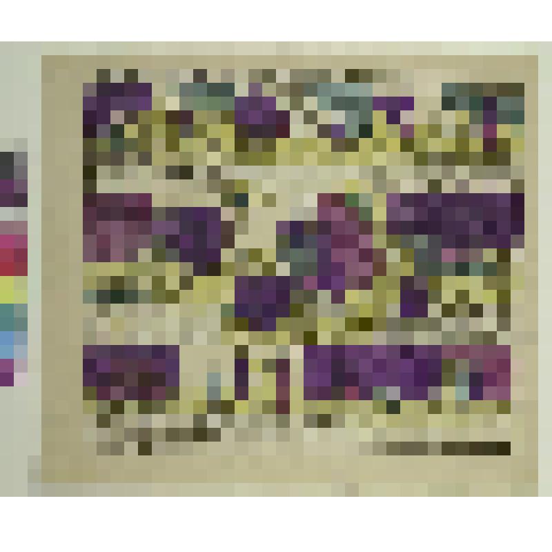 Примерный поступок солдата, который спас жизнь Петра Великого на охоте, гравюра