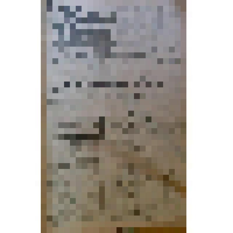 Газета «Прикамская жизнь» за 1910г.,   №284 от 25.12.1910 г