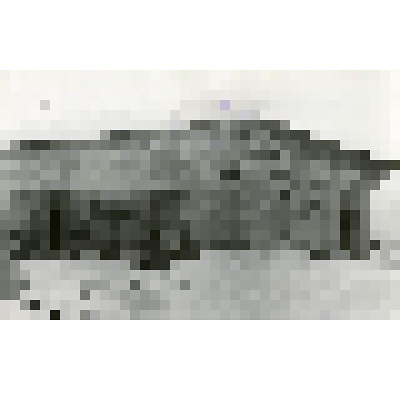 Фотография ч/б. Бывшее зимнее помещение (каменный дом) Архимандритской заимки Усть-Киргизских угодий Томского Богородице-Алексеевского мужского монастыря