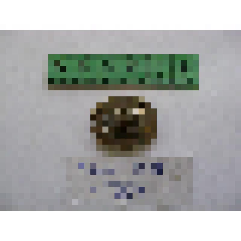 Значок "В.И. Ленин"