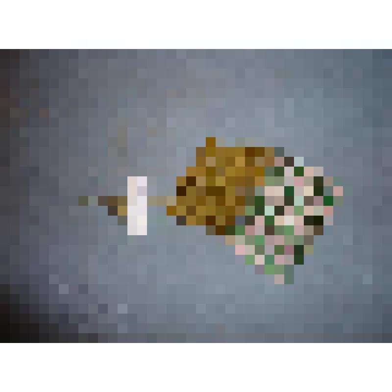 Сумочка Сидоровой О.Ф