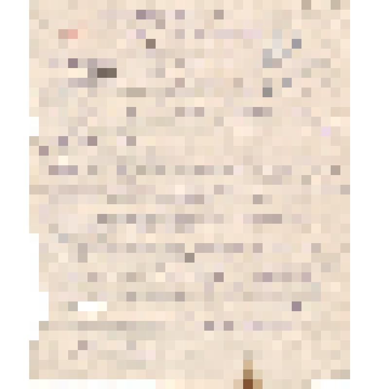 Дело разведки партизанского отряда им. Железняка