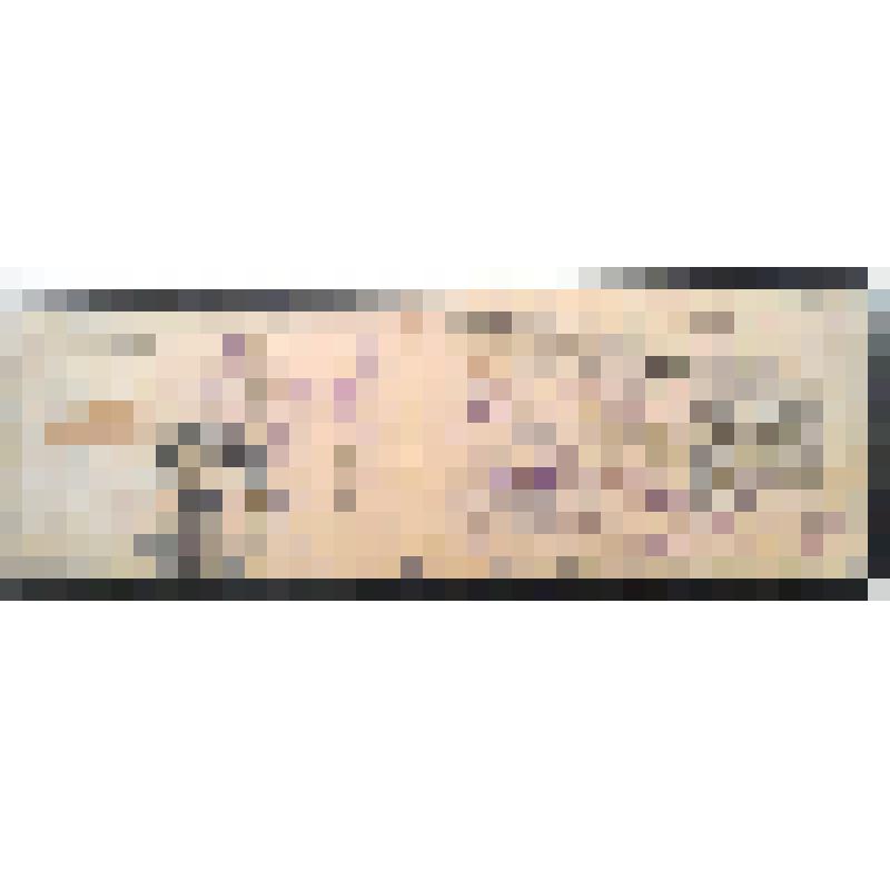 Удостоверение № 69 Костенко И.И