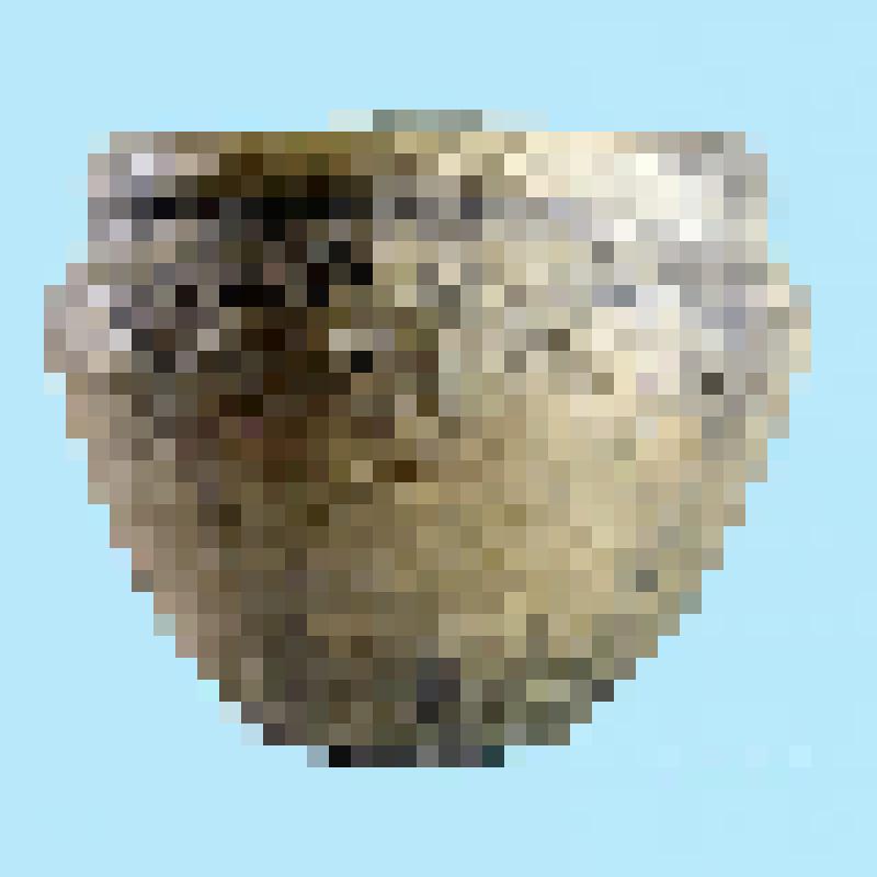 Сосуд №1. Курган 2, яма 5