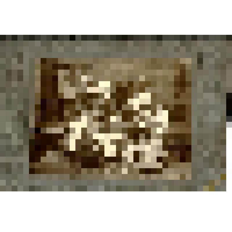 Фотография. Степанов Г.Н. в группе [учениц нижегородской/нижегородских школ] около здания Шаляпинской школы в деревне Алексндровка [Летний санаторий Общества Начального образования для бедных]