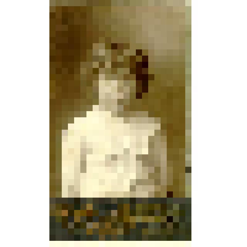 Фотография. Белинг Ераст Евстафьевич? в детском возрасте