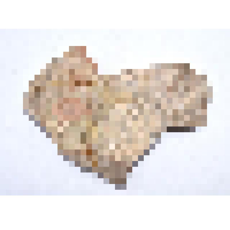 Сосуд (фрагмент)