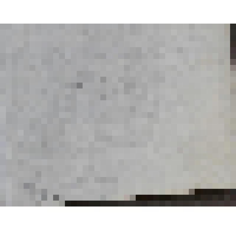 Мартин Лютер