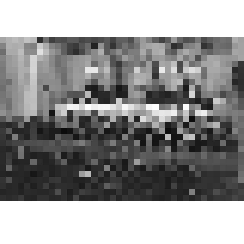 Негатив. Бетховен Л.В. 
9 симфонию исполнят Государственный симфонический оркестр и Русский академический хор под управлением И Маркевича.
Москва, 1962 г