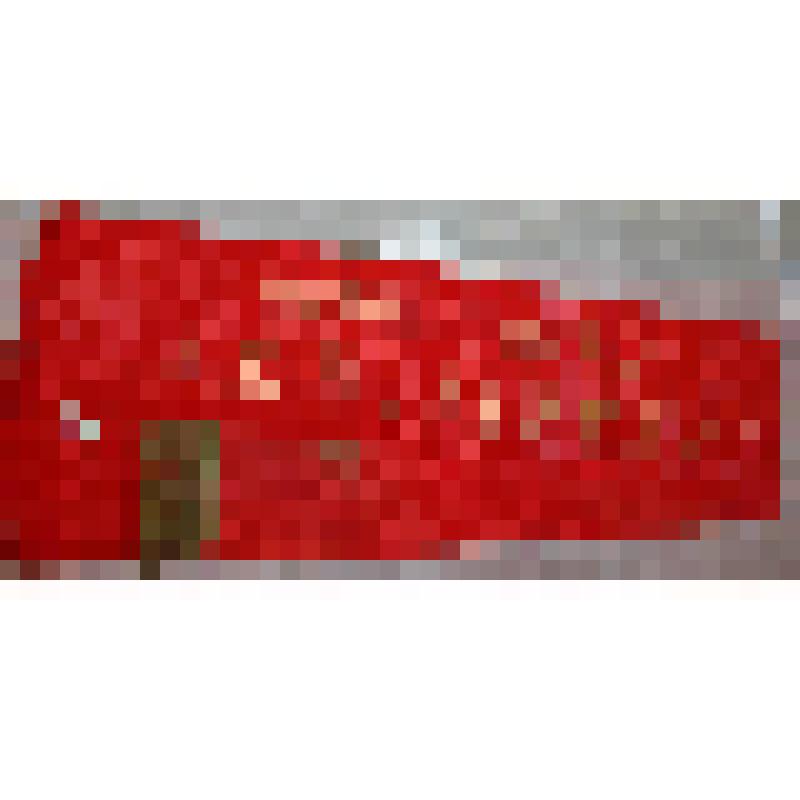 Лента. Принадлежала Ф.И.Шаляпину