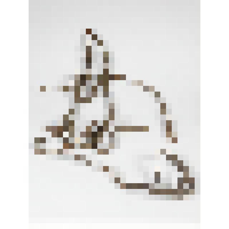 Оголовь с удилами