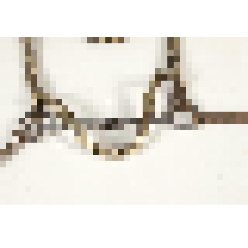 Оголовь с удилами