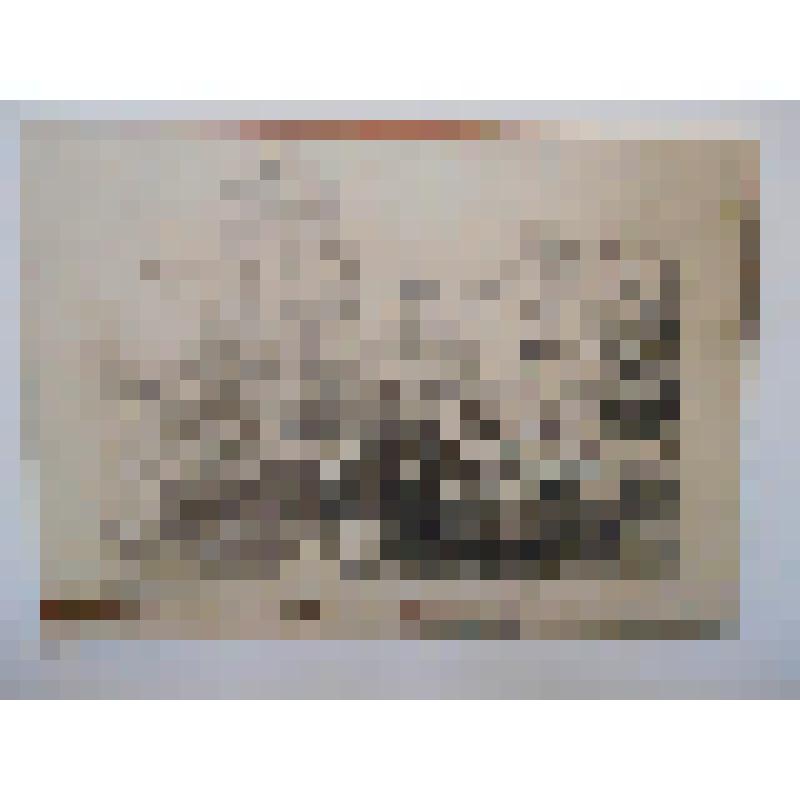 Храмовый комплекс Лингараджа. Ок. 1000 г. Индия, г. Бхубанешвар. Храмовый комплекс Лингараджа. Общ. вид. На паспарту