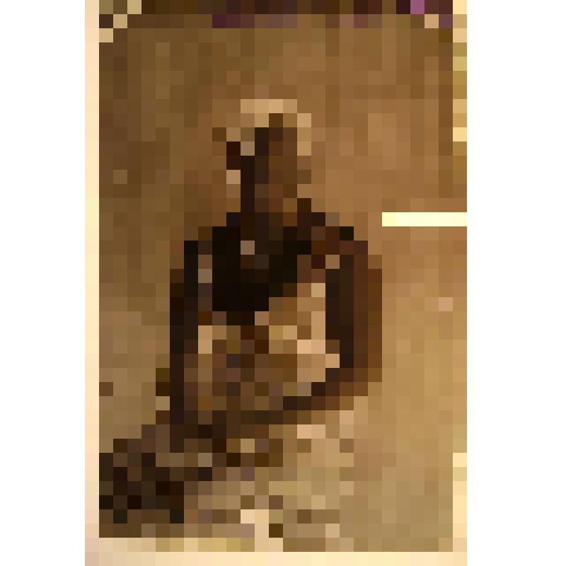 Негатив. Портрет поясной девушки