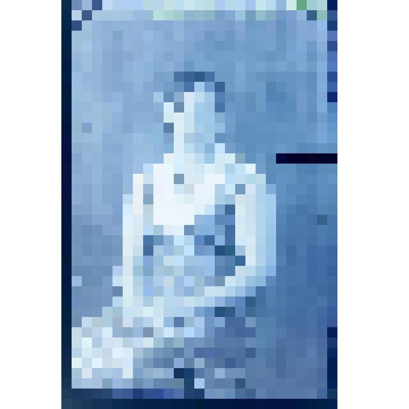 Негатив. Портрет поясной девушки