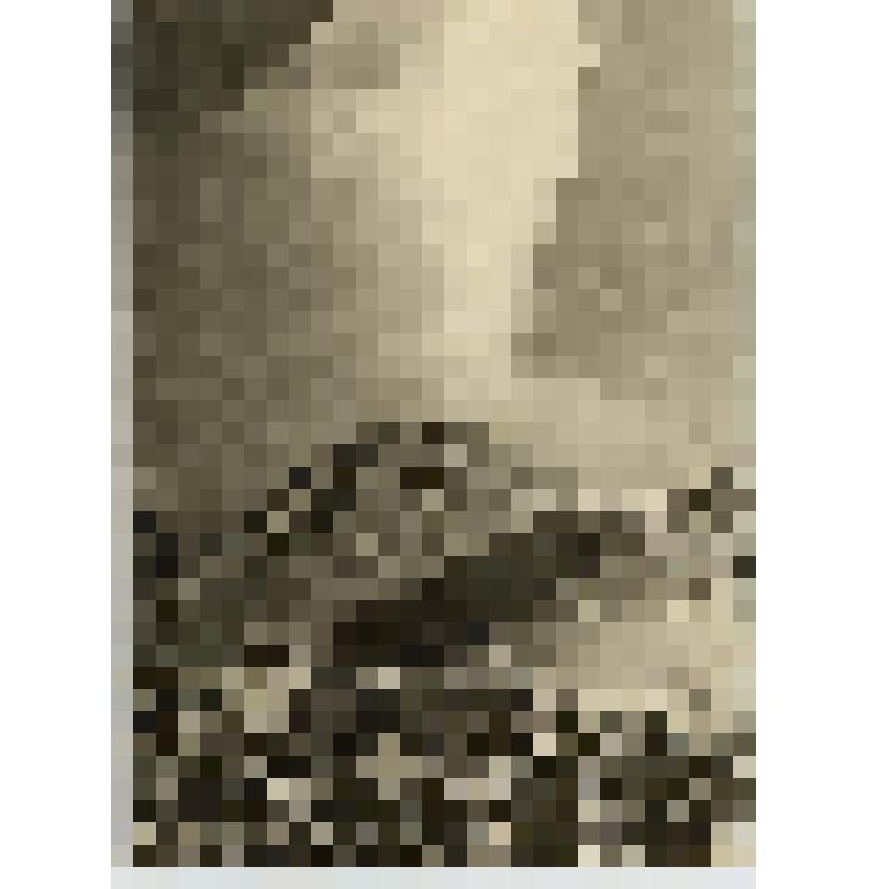 Фотооткрытка. Камчатка. Работает вулкан Безымянный