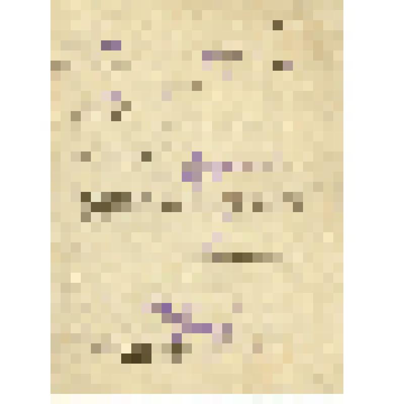 Паспорт на агрегат ДИФФЕР № 148 серия Э. Из формуляра самолета ЯК-1 (заводской номер 08110 с мотором М 105 ПФ 4-739). Часть первая