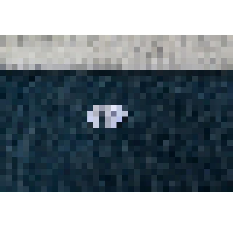 Копейка 1601 года (Борис Федорович)