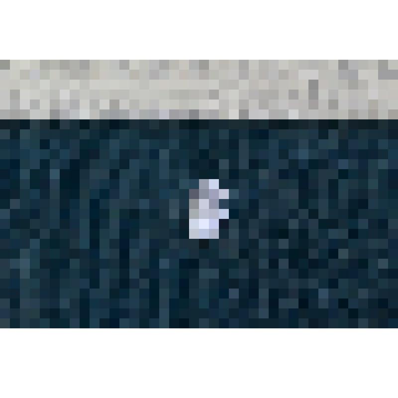 Копейка 1601 года (Борис Федорович)