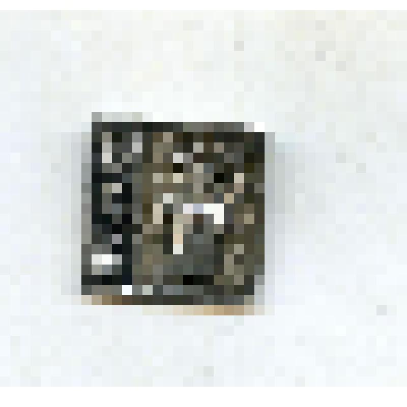 Значок из серии "Якутия". Из коллекции значков Самсоновой К.П