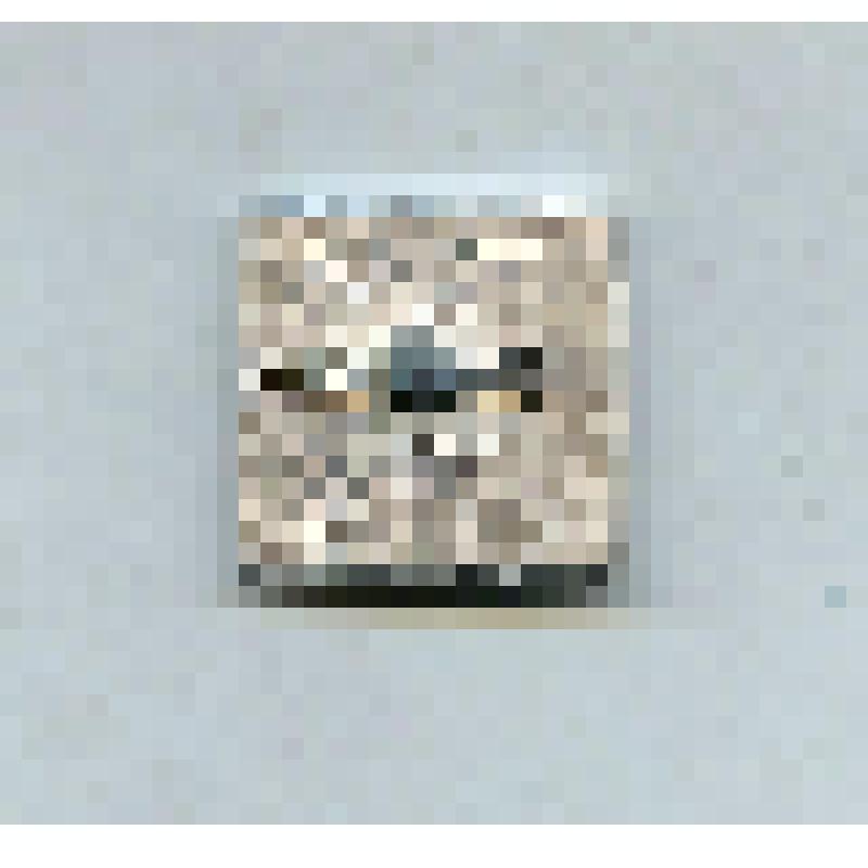 Значок из серии "Якутия". Из коллекции значков Самсоновой К.П